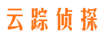 爱民市侦探调查公司